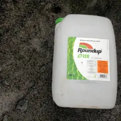 En stor vit dunk med etikett för Roundup ECO, ett glyfosatbaserat ogräsmedel, står på en grå, fuktig yta.