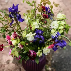En vacker bukett med iris, akleja och penséer. En påminnelse om glädjen att odla snittblommor.