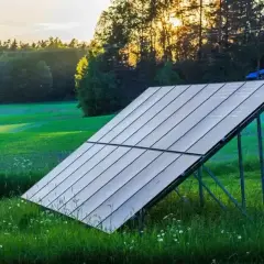 Solpaneler på marken fångar solens strålar i ett grönt landskap. Solnedgången lyser upp skogen bakom.