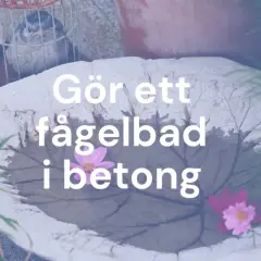 Gör ett fågelbad i betong. Ett vackert, handgjort fågelbad i form av ett blad, dekorerat med blommor.