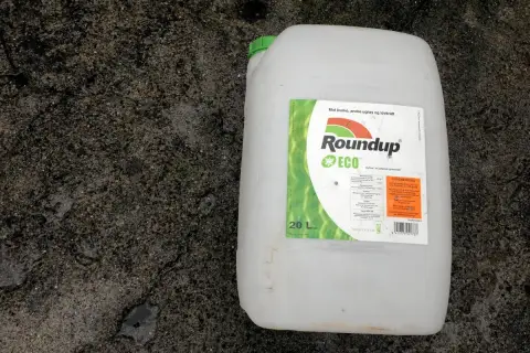 En stor vit dunk med etikett för Roundup ECO, ett glyfosatbaserat ogräsmedel, står på en grå, fuktig yta.