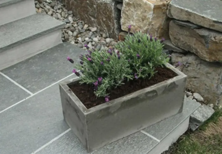 En rektangulär betongkruka med lavendel står på en stenlagd trappa. En vacker detalj för trädgården, som visar hur man kan gjuta krukor i betong.