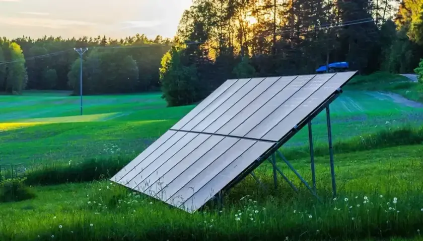 Solpaneler på marken fångar solens strålar i ett grönt landskap. Solnedgången lyser upp skogen bakom.
