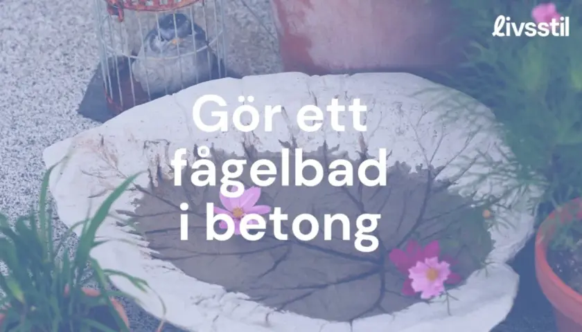 Gör ett fågelbad i betong. Ett vackert, handgjort fågelbad i form av ett blad, dekorerat med blommor.