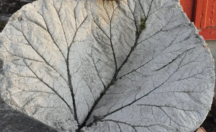 Gjuta rabarberblad i betong - Så lyckas du varje gång!