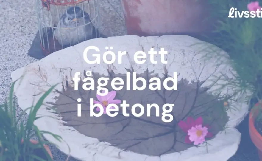 Gjuta fågelbad i betong - Enkel guide för ditt trädgårdsprojekt