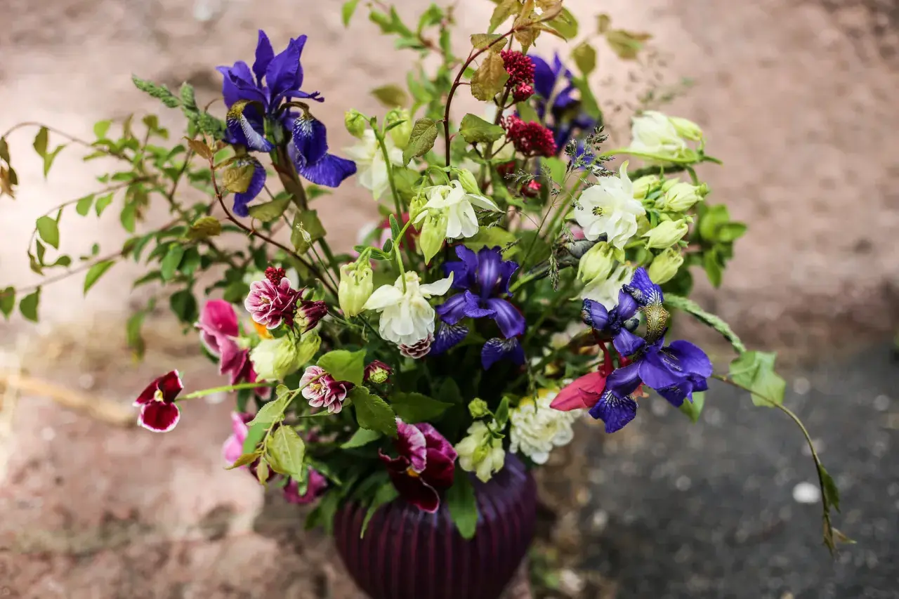 En vacker bukett med iris, akleja och penséer. En påminnelse om glädjen att odla snittblommor.