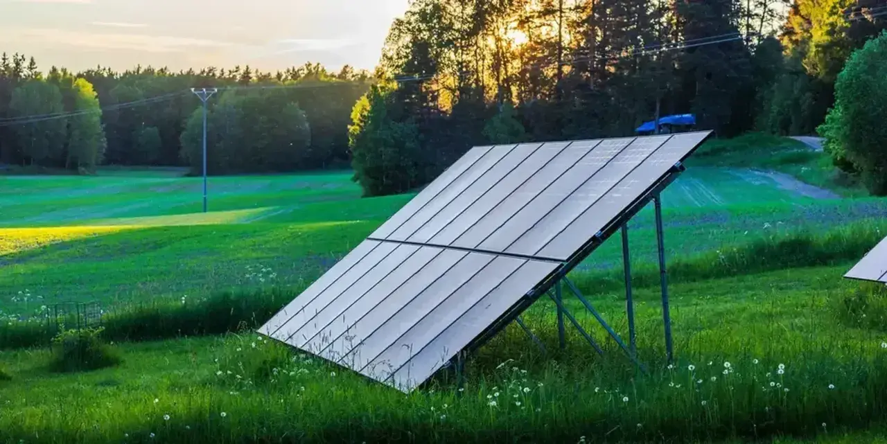 Solpaneler på marken fångar solens strålar i ett grönt landskap. Solnedgången lyser upp skogen bakom.