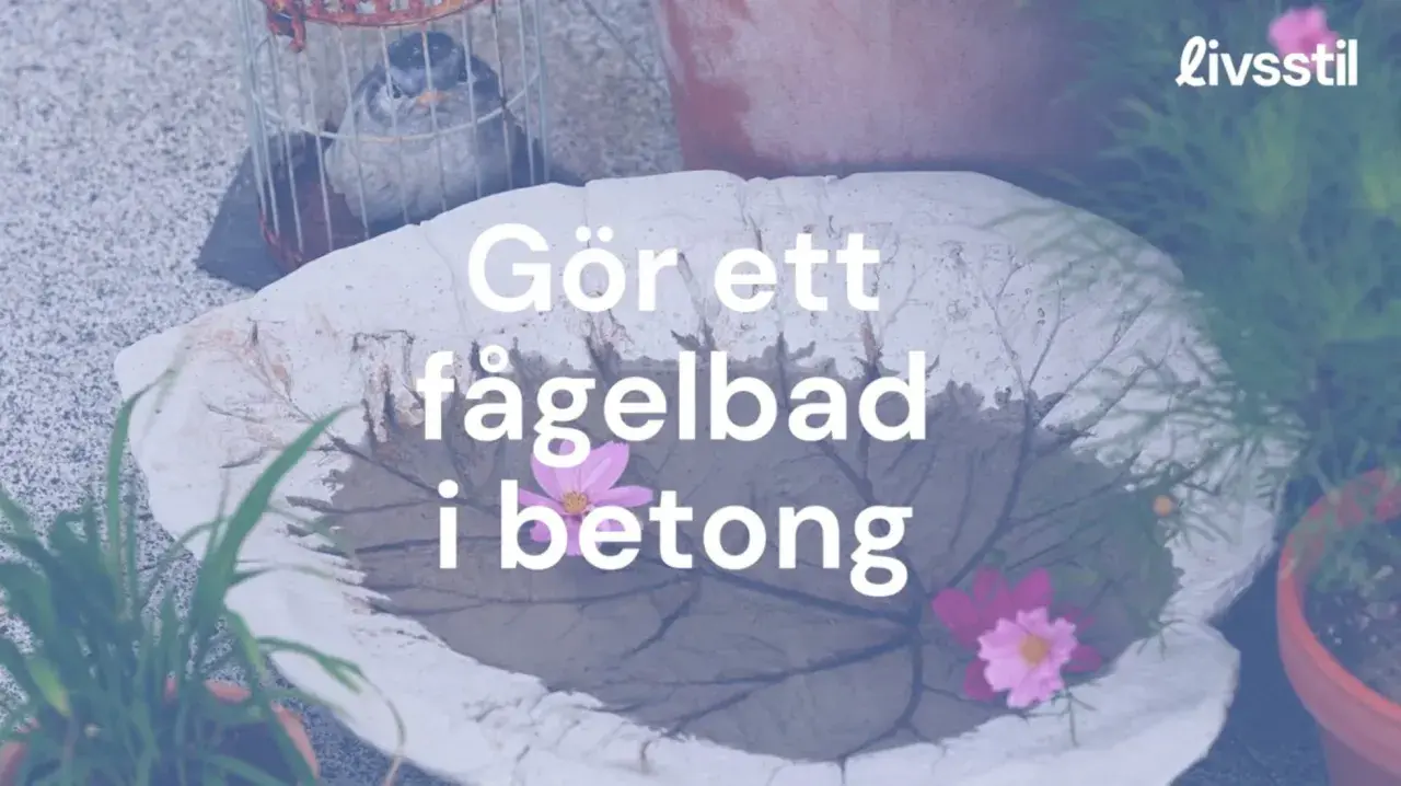 Gör ett fågelbad i betong. Ett vackert, handgjort fågelbad i form av ett blad, dekorerat med blommor.