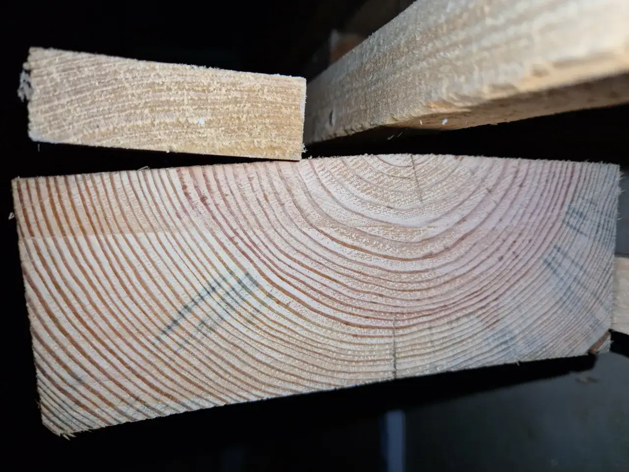 Detaljerad vy av tr&auml;ets &aring;rsringar, troligen fr&aring;n en gran eller furu. Tv&aring; tr&auml;bitar syns, en mindre upptill och en st&ouml;rre nedtill med tydliga ringar.