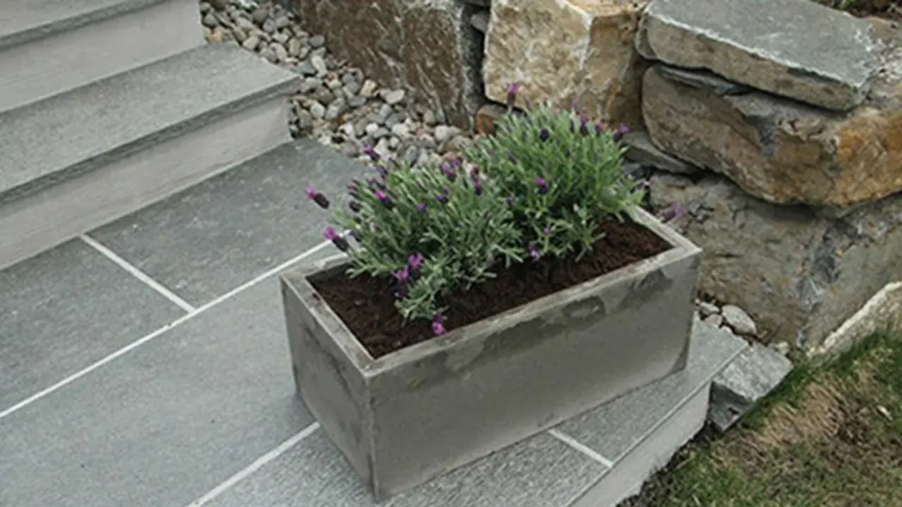 En rektangul&auml;r betongkruka med lavendel st&aring;r p&aring; en stenlagd trappa. En vacker id&eacute; f&ouml;r att gjuta krukor i betong.